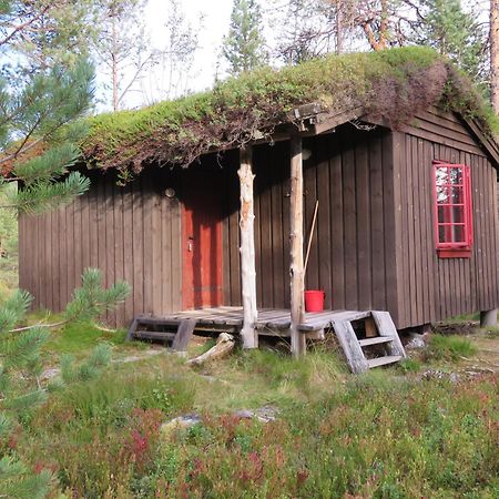 Hov Hyttegrend Viksdalen Quarto foto