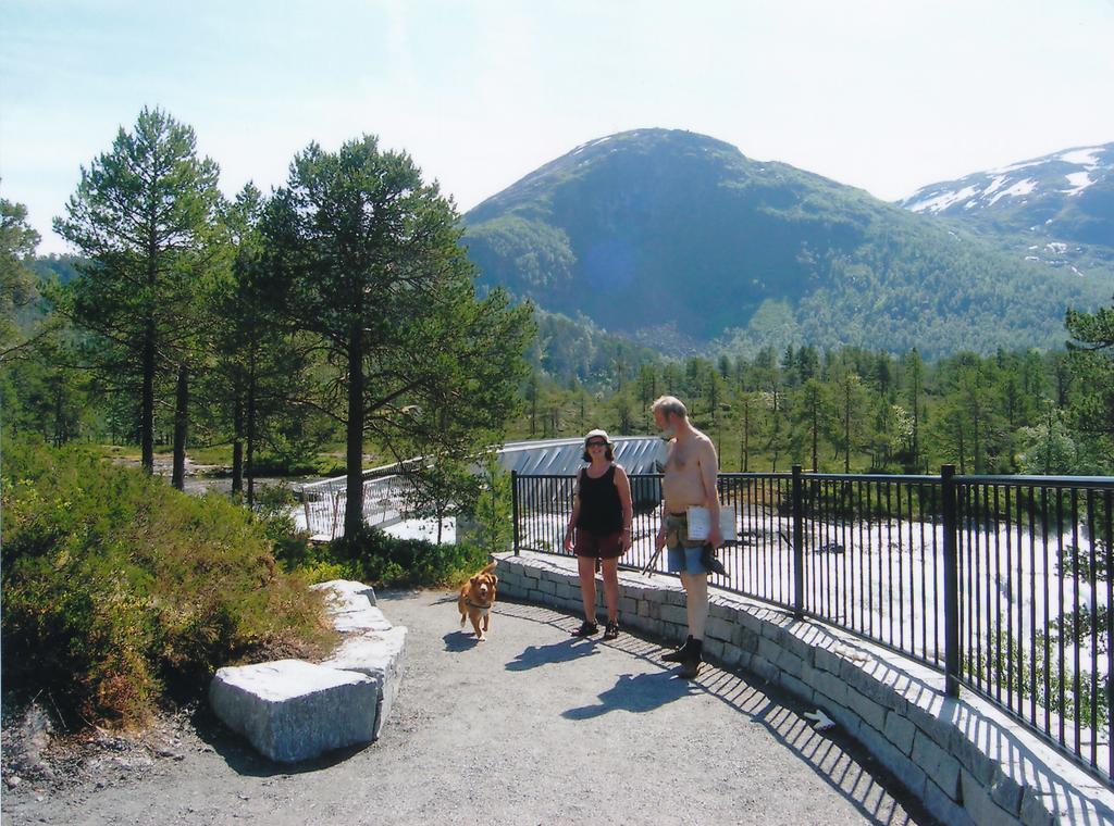 Hov Hyttegrend Viksdalen Exterior foto