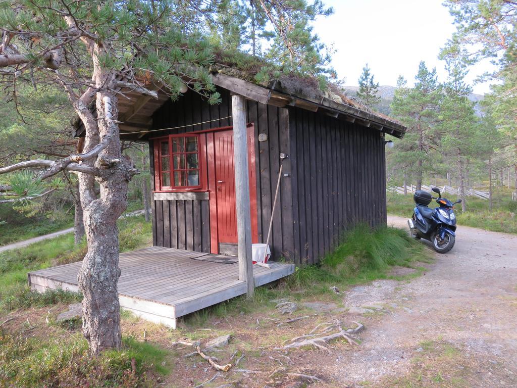 Hov Hyttegrend Viksdalen Exterior foto
